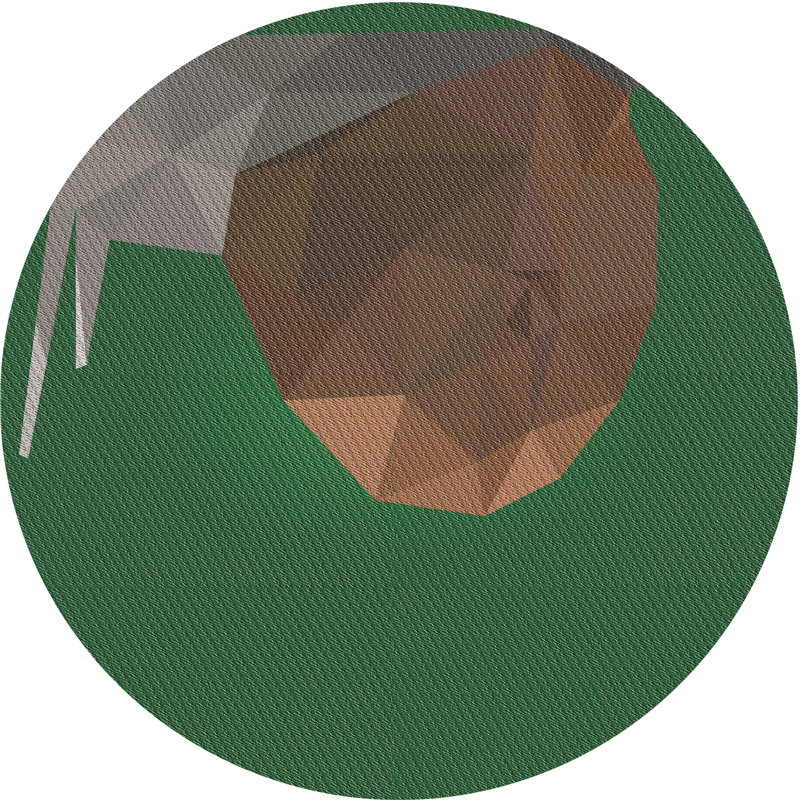 Indoor Rug, Round 4'