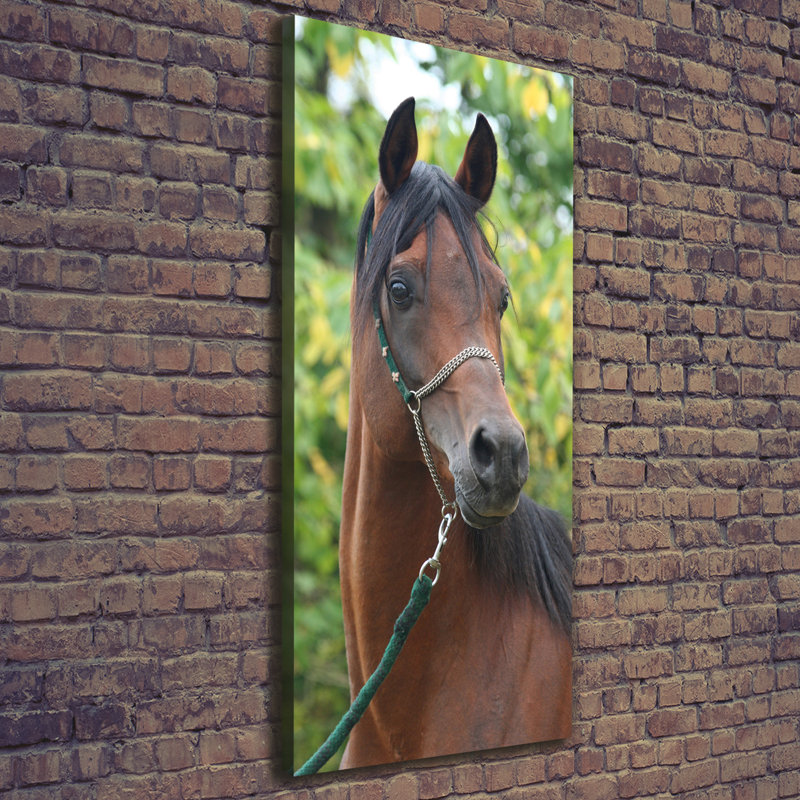 Portrait Of A Horse - Wrapped Canvas Print
