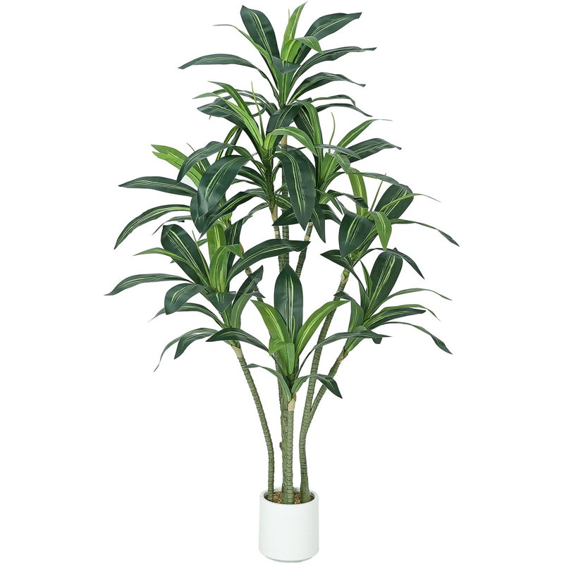 Arrangement