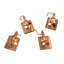Set Of 4 Individual Charcuterie Boards