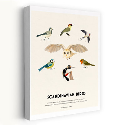 Scandinavian Birds Illustration Colorful Woodpecker Bird Owl Nature Wildlife Wall Art Print