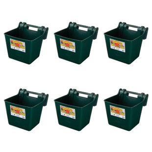 Waterer (Set of 6)