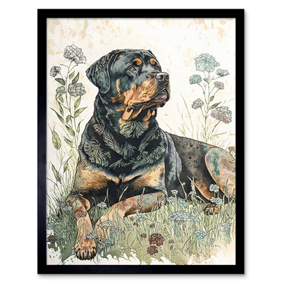 Rottweiler Dog Lying In Wildflowers Bright Watercolour - Single Picture Frame Print