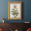 «Munting Botanicals I», toile encadrée de qualité supérieure - prête à être accrochée-1648361495
