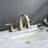 Widespread 2-handle Bathroom Faucet with Drain Assembly-58689373