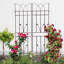 Treillis polyvalent en métal pour les plantes d'extérieur, rehaussant la beauté du jardin-779805478
