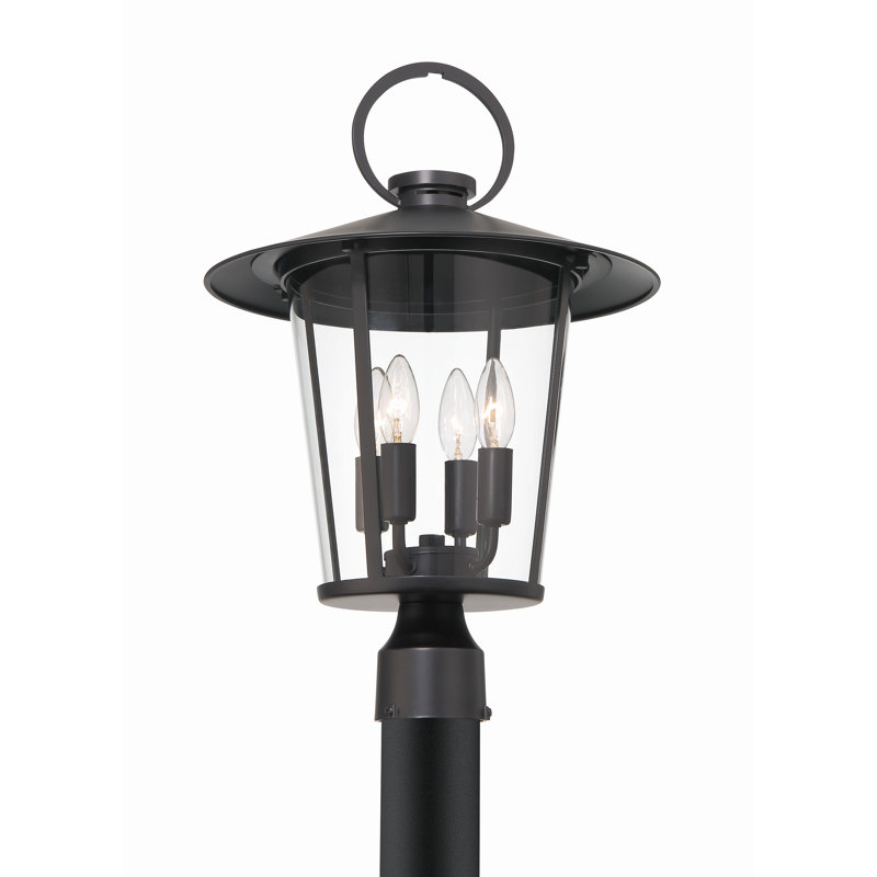Tranesha Transparent Lantern Head