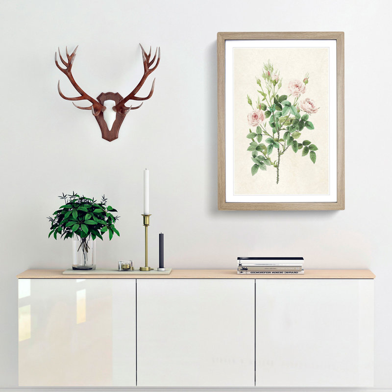 Pompon Roses by Pierre-Joseph Redoute - Picture Frame Painting Print, Oak Framed, 65cm H x 48cm W x 2cm D