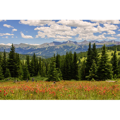 Rocky Mountain Alpine Meadow by Mraust