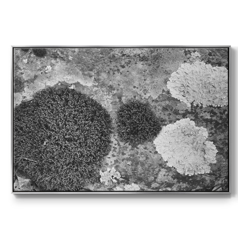 Found Textures XIX sur toile de qualité supérieure - prête à être accrochée, Toile argentée avec cadre flottant
