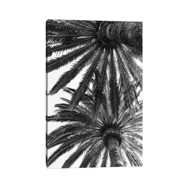Venice Palms by Bethany Young - Print on Canvas, Wrapped Canvas, 45.72cm H x 30.48cm W x 1.91cm D
