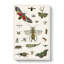 Various Insects by Oliver Goldsmith - Wrapped Canvas-55370079