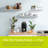 2 Piece Wall Shelf Set-1735290340-1713745933
