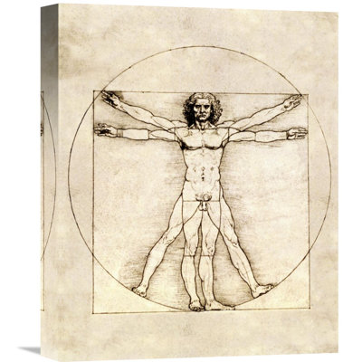 Proportions Of The Human Figure (Vitruvian Man) by Leonardo Da Vinci - Graphic Art on Canvas