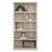 Alexsia Standard Bookcase-1474520261-1436292308
