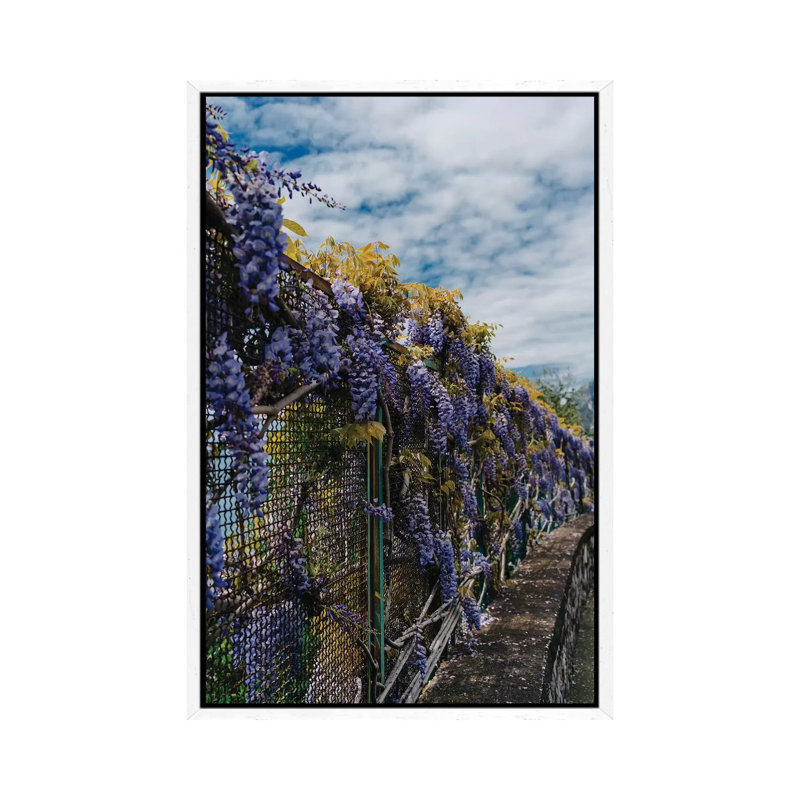 Amalfi Coast Blooms III by Bethany Young - Print on Canvas, 101.6cm H x 66.04cm W x 3.81cm D, White Framed