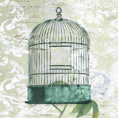 " Birdcage Gray "