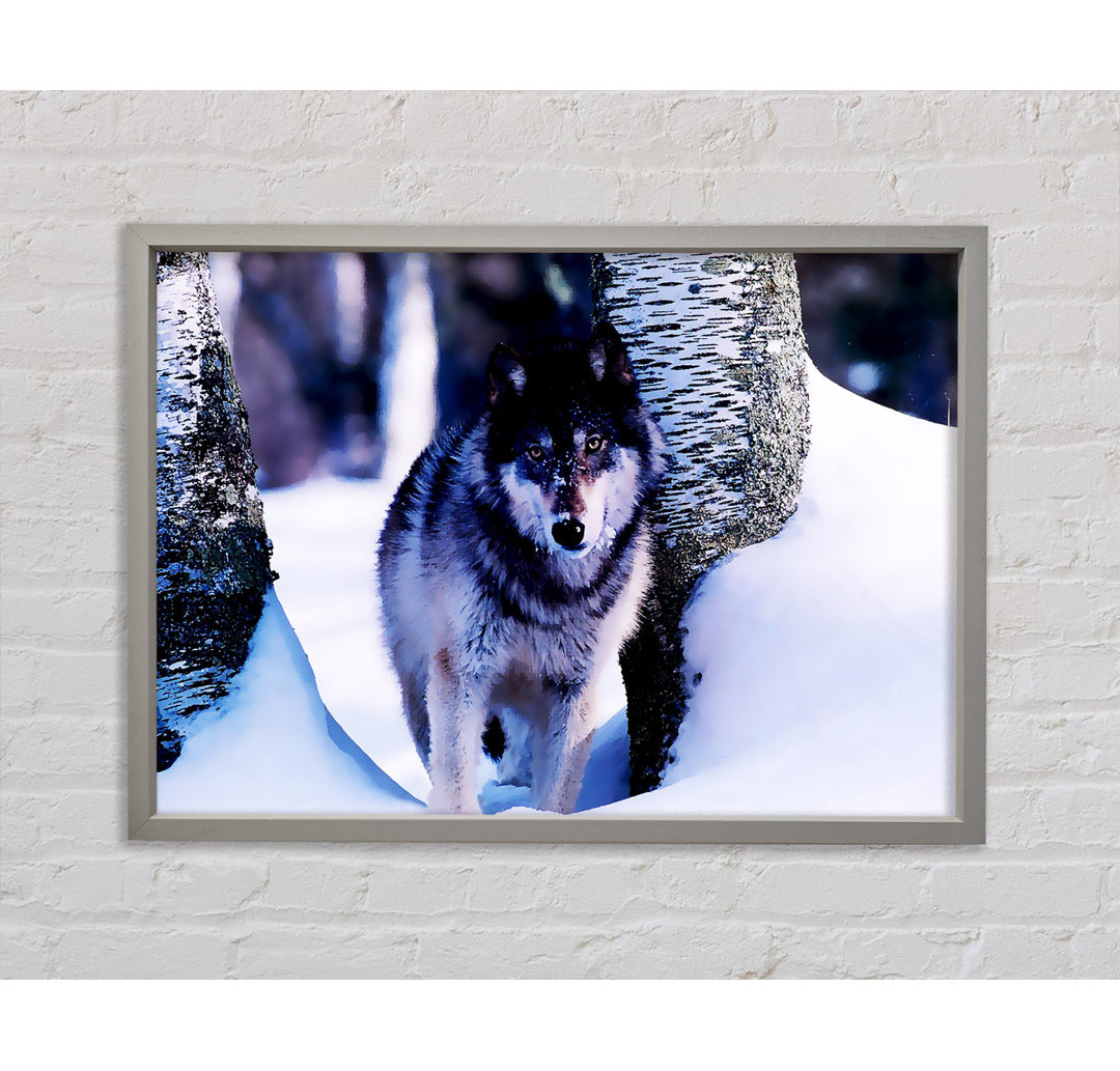 Wolf im Schnee - Einzelner Bilderrahmen Kunstdrucke auf Leinwand