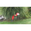 Art de jardin ara royal écarlate