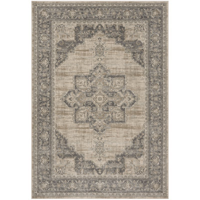 Hogan Oriental Area Rug