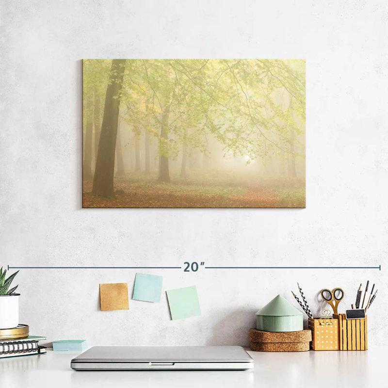 Forest Fog I