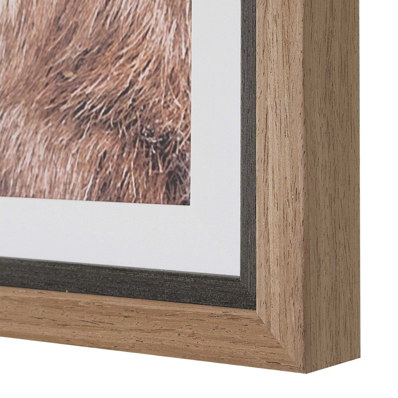  Big Horn Sheep Framed Print