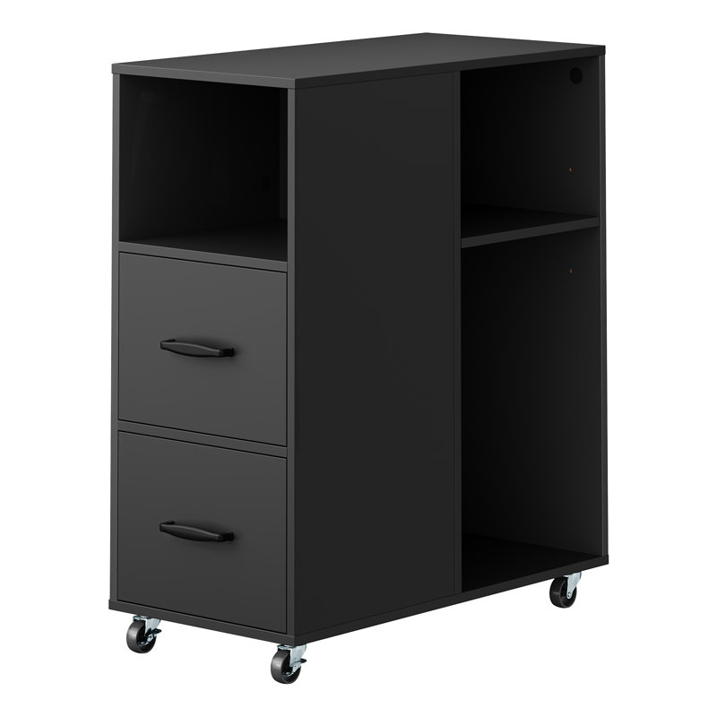 Mobile Filing Cabinet with 2 Drawers, Black, 30x60x70 cm, Black