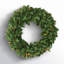 Magnolia Leaf Wreath-1796641950