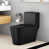 Toilette noire / bouton noir est en rupture de stock