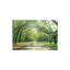 Live Oaks et espagnol Moss Wormsloe State, lieu historique de Savannah, Géorgie par Panoramic Images - photographie non encadrée-26525342