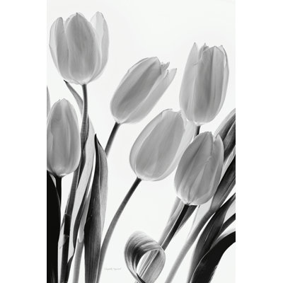 Ombres et lumière I