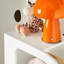 Hesser Toy Organiser
