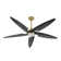 Chanille 5-Blade Solid Wood Ceiling Fan with LED Light and Remote Control