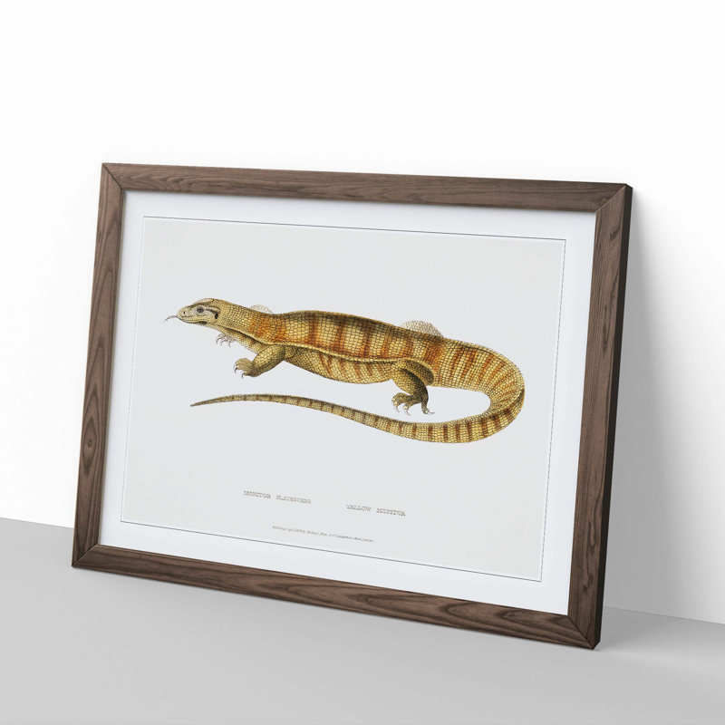 Yellow Monitor Lizard by John Edward Gray - Picture Frame Painting Print, Walnut Framed, 48cm H x 65cm W x 2cm D