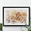 Lion Vol.1 - Picture Frame Graphic Art-62802549-62802552