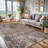 Jeeven Washable Oriental Indoor Rug-381892747
