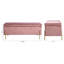 Banc de rangement rembourré à couvercle rabattable-2111973116