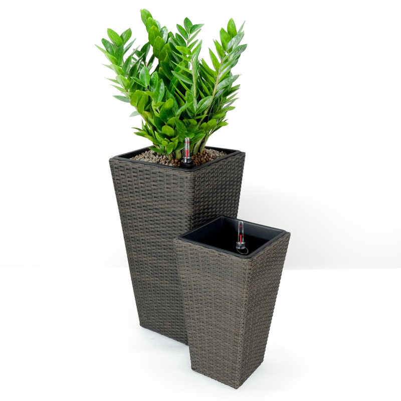 Anyce Pot Planter