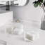 Organisateur de Qtip transparent