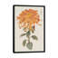 «Vibrant Mums I», impression sur toile tendue-29052570-72792916-72792917
