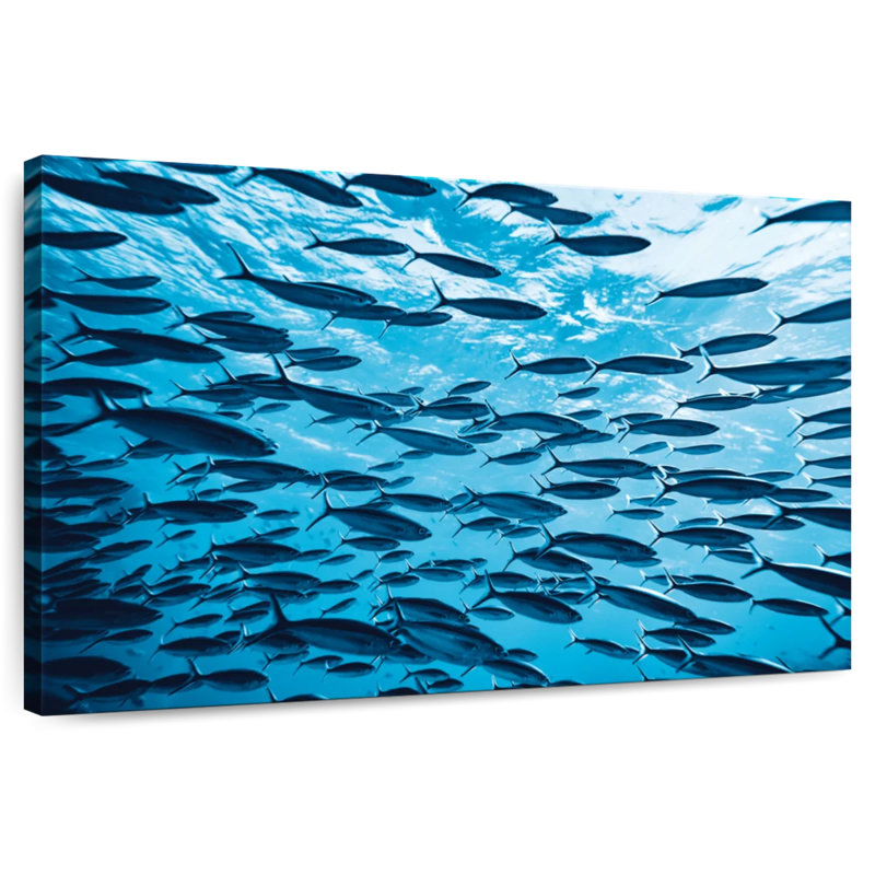 Banc de poissons tropicaux, H 24 po x l 36 po