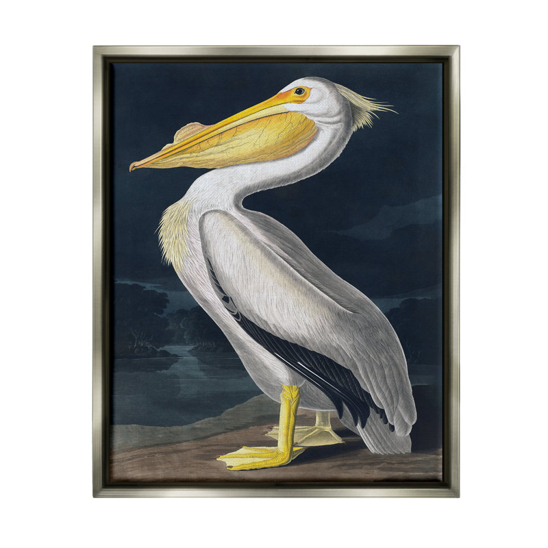 «Highland Dunes Pelican On Night Shore», art mural encadré sur toile flottante par Incado, Cadre flottant gris lustré