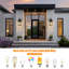Black Outdoor Sconce
