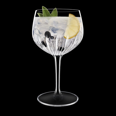 Luigi Bormioli Mixology 27 oz Spanish Gin & Tonic / Sangria Glasses