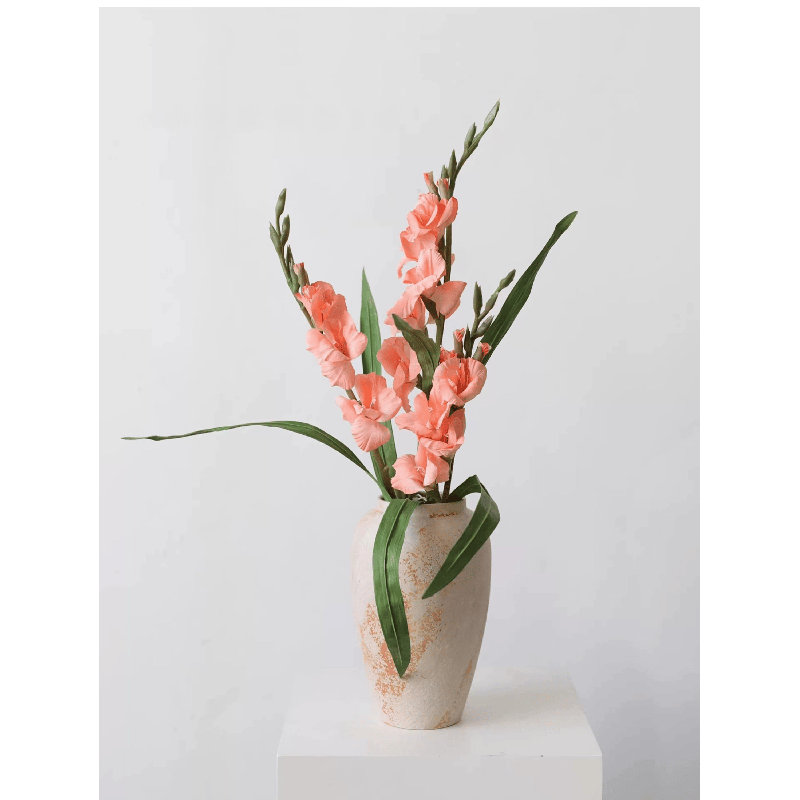 Tige de jardin glaïeul, [B] 3 Stems, Coral Blush Small