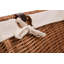 Wicker Basket with Lining-1533784045