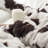 Cow Crush - Coma Inducer Oversized Comforter Set - Brown and White