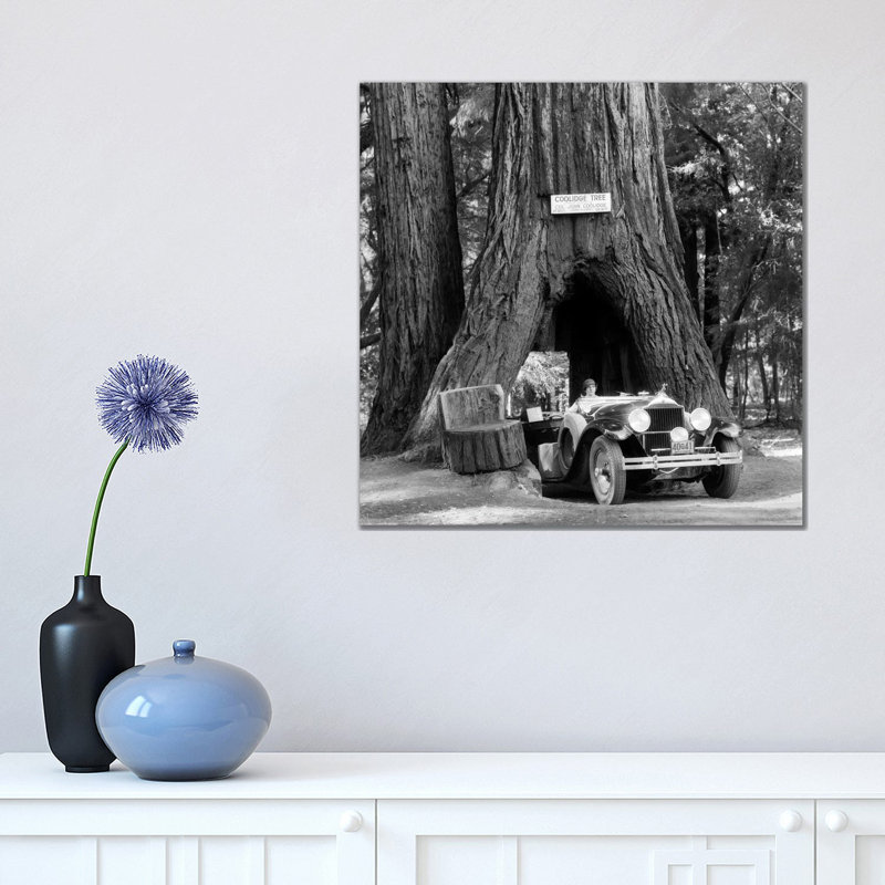 1930s Woman Driving Convertible Car Through Opening in Giant Sequoia Tree Trunk Coolidge Tree Mendocino California 1 Piece Wrapped Canvas Wall Art