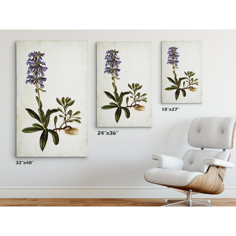 « botanique plate iv », reproduction d’impression sur toile tendue, H 18 po x l 27 po x P 1,5 po