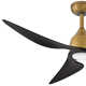 Belle 52'' 3 Blade Ceiling Fan with LED Light Kit